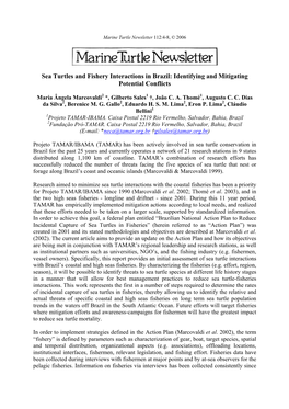 Sea Turtles and Fishery Interactions in Brazil: Identifying and Mitigating Potential Conflicts