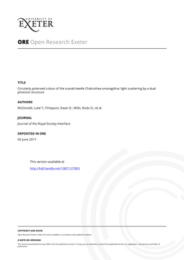 Circularly Polarised Colour of the Scarab Beetle Chalcothea Smaragdina: Light Scattering by a Dual Photonic Structure