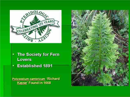 Pteridological Society Presentation