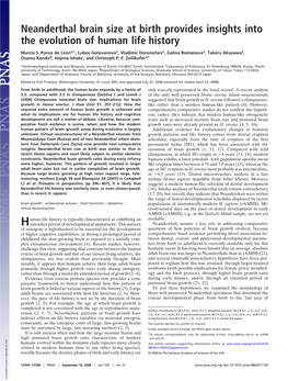 Neanderthal Brain Size at Birth Provides Insights Into the Evolution of Human Life History