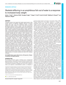 Skeletal Stiffening in an Amphibious Fish out of Water Is a Response to Increased Body Weight Andy J