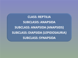 Super Class: Tetrapoda