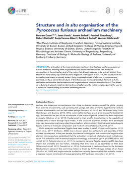 Structure and in Situ Organisation of the Pyrococcus Furiosus Archaellum