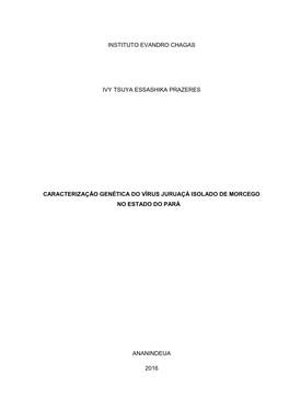 Caracterização Genotípica Do Vírus Juruaçá Isolado De Morcego No Estado Do Pará