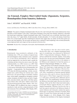 Squamata, Serpentes, Homalopsidae) from Sumatra, Indonesia