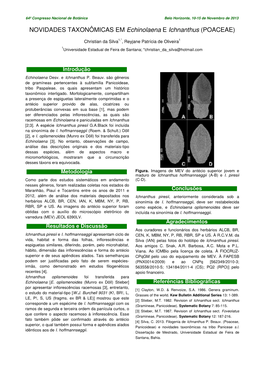 NOVIDADES TAXONÔMICAS EM Echinolaena E Ichnanthus (POACEAE)