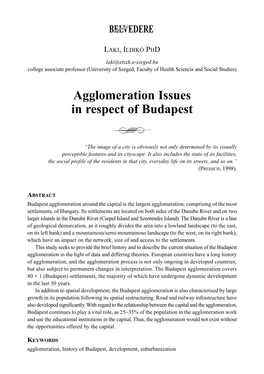 Agglomeration Issues in Respect of Budapest