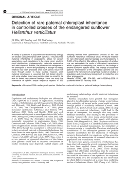 Detection of Rare Paternal Chloroplast Inheritance in Controlled Crosses of the Endangered Sunflower Helianthus Verticillatus