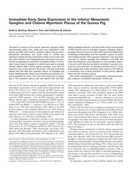 Immediate-Early Gene Expression in the Inferior Mesenteric Ganglion and Colonic Myenteric Plexus of the Guinea Pig