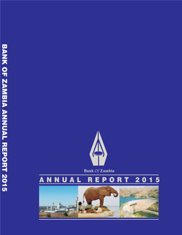 Boz Annual Report 2015