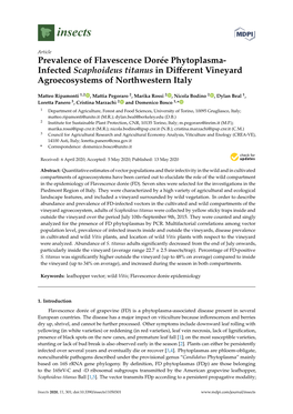 Prevalence of Flavescence Dorée Phytoplasma- Infected Scaphoideus Titanus in Diﬀerent Vineyard Agroecosystems of Northwestern Italy