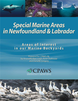 Special Marine Areas Guide 2009