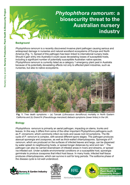 Phytophthora Ramorum: a Biosecurity Threat to the Australian Nursery