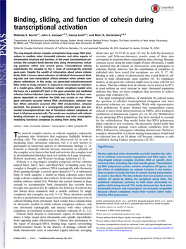 Binding, Sliding, and Function of Cohesin During Transcriptional Activation