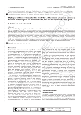 Phylogeny of the Neotropical Cichlid Fish Tribe Cichlasomatini (Teleostei