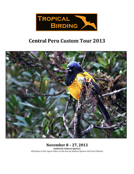 Central Peru Custom Tour 2013