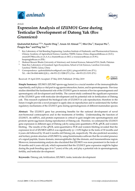 Expression Analysis of IZUMO1 Gene During Testicular Development of Datong Yak (Bos Grunniens)