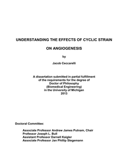 Understanding the Effects of Cyclic Strain On