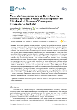 Molecular Comparison Among Three Antarctic Endemic Springtail Species and Description of the Mitochondrial Genome of Friesea Gretae (Hexapoda, Collembola)