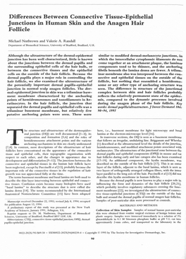 Differences Between Connective Tissue-Epithelial Junctions in Human Skin and the Anagen Hair Follicle