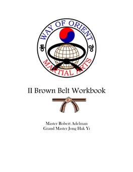 II Brown Belt Workbook