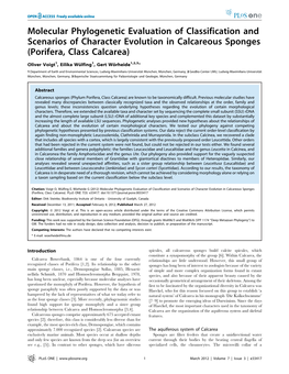 Molecular Phylogenetic Evaluation of Classification and Scenarios of Character Evolution in Calcareous Sponges (Porifera, Class Calcarea)