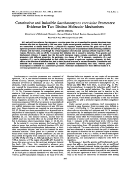 Constitutive and Inducible Saccharomyces Cerevisiae