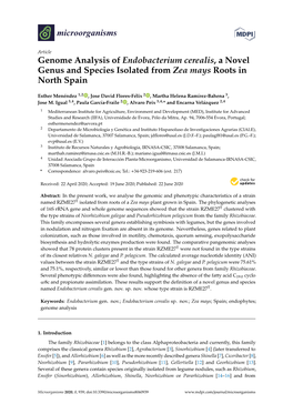 Genome Analysis of Endobacterium Cerealis, a Novel Genus and Species Isolated from Zea Mays Roots in North Spain