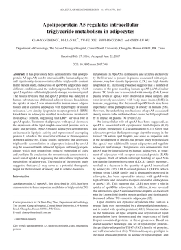 Apolipoprotein A5 Regulates Intracellular Triglyceride Metabolism in Adipocytes