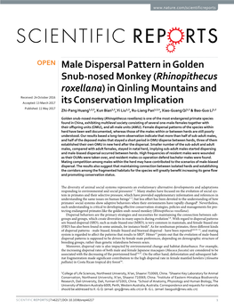 Male Dispersal Pattern in Golden Snub-Nosed Monkey (Rhinopithecus Roxellana) in Qinling Mountains and Its Conservation Implication