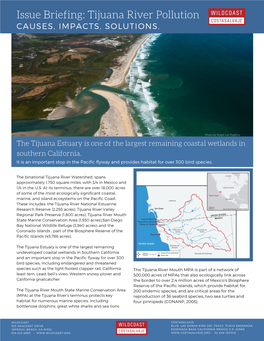 Issue Briefing Tijuana River Pollution