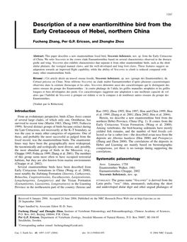 Description of a New Enantiornithine Bird from the Early Cretaceous of Hebei, Northern China