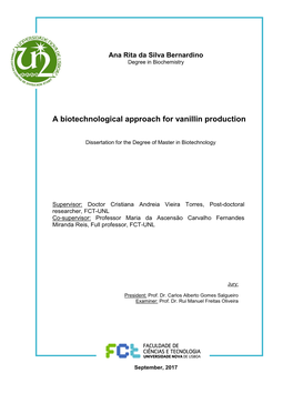 A Biotechnological Approach for Vanillin Production