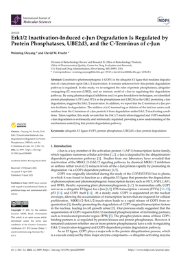 Erk1/2 Inactivation-Induced C-Jun Degradation Is Regulated by Protein Phosphatases, Ube2d3, and the C-Terminus of C-Jun