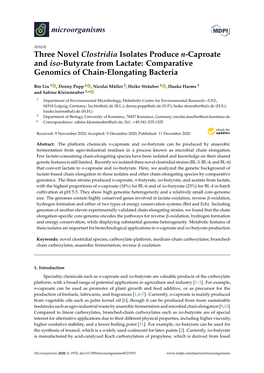 Three Novel Clostridia Isolates Produce N-Caproate and Iso-Butyrate from Lactate: Comparative Genomics of Chain-Elongating Bacteria