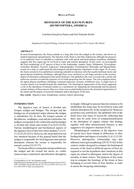 Histology of the Ileum in Bees (Hymenoptera, Apoidea)