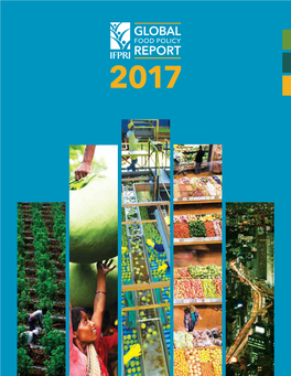 2017 Global Food Policy Report Ifpri