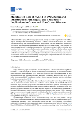 Multifaceted Role of PARP-1 in DNA Repair and Inflammation