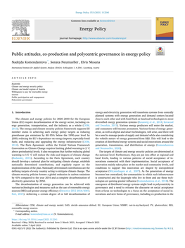 Public Attitudes, Co-Production and Polycentric Governance in Energy Policy