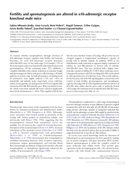 Fertility and Spermatogenesis Are Altered in A1b-Adrenergic Receptor Knockout Male Mice