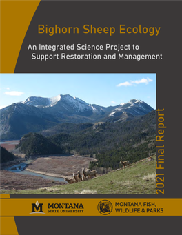 Bighorn Sheep Ecology