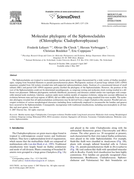 Molecular Phylogeny of the Siphonocladales (Chlorophyta: Cladophorophyceae)