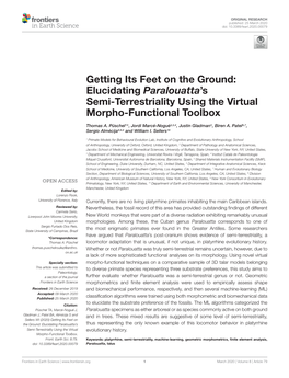 Getting Its Feet on the Ground: Elucidating Paralouatta's Semi-Terrestriality Using the Virtual Morpho-Functional Toolbox