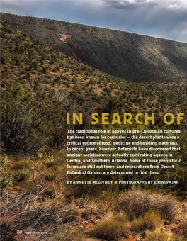 In Search of Ancient Agaves