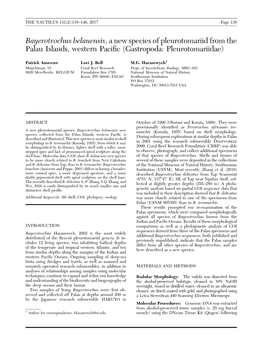 Bayerotrochus Belauensis, a New Species of Pleurotomariid from the Palau Islands, Western Paciﬁc (Gastropoda: Pleurotomariidae)