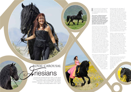 T H E Friesian Horse Has a Long and Colorful