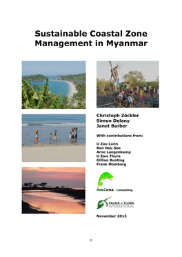 Myanmar-Scoping-Report.Pdf (2.0