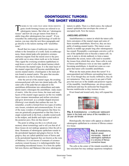 Odontogenic Tumors: the Short Version