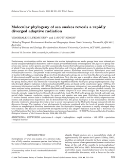 Molecular Phylogeny of Sea Snakes Reveals a Rapidly Diverged Adaptive Radiation