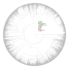 R Graphics Output